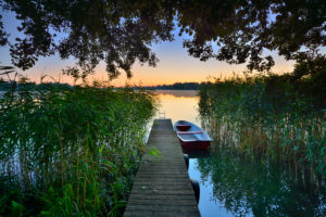 Steg mit Ruderboot im Schilf, Morgenlicht, Großer Müllroser See, Müllrose, Naturpark Schlaubetal, Brandenburg, Deutschland Steg mit Ruderboot im Schilf, Morgenlicht, Großer Müllroser See, Müllrose, Naturpark Schlaubetal, Brandenburg, Deutschland